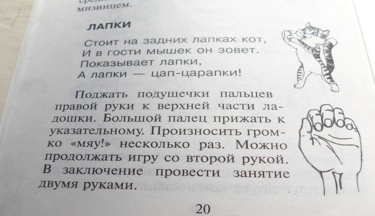 Практическое пособие по формированию элементарных экологических представлений во второй младшей группе детского сада (3-4 года)