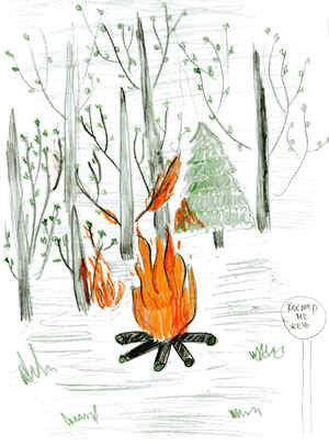 Внеклассная работа. Тема классного часа: Лесные пожары.