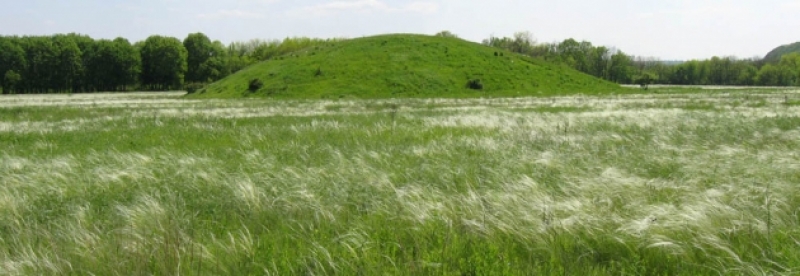 Урок Исторические памятники в селе Троицкое