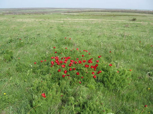 Урок Исторические памятники в селе Троицкое