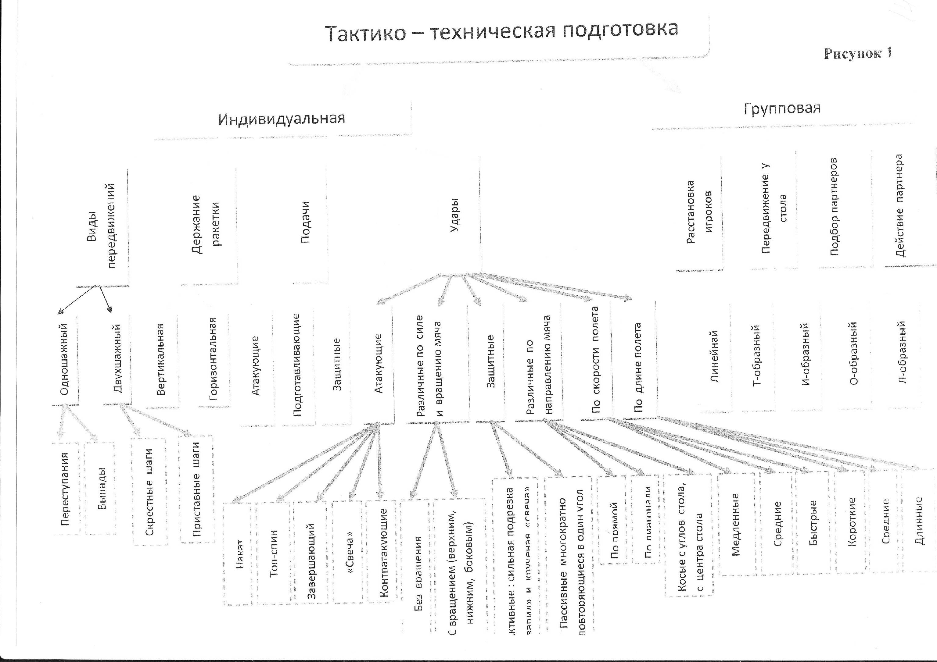 Методическая разработка по физическому воспитанию учащихся 5-11 классов с изучением настольного тенниса