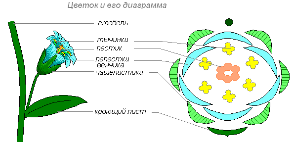 Пример оформления работы на Всероссийский конкурс Познание и творчество