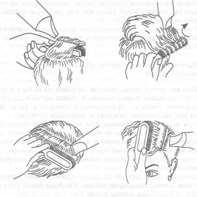 Методическая разработка урока МДК 01 «Стрижка и укладка волос» Тема урока: «Назначение метода укладки волос феном»