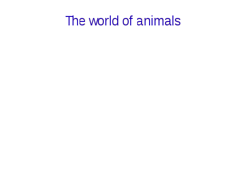 Конспект урока по английскому языку на тему Animals I like (4 класс) Кузовлев