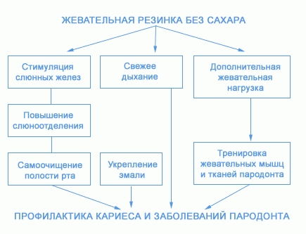 Выпуск № 2 ежемесячного школьного периодического издания Жить здорово - Жевательная резинка