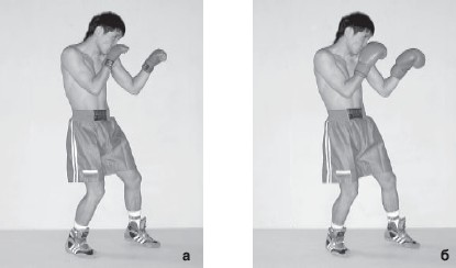 Методическое пособие по физической культуре Обучение юных боксеров боевым стойкам