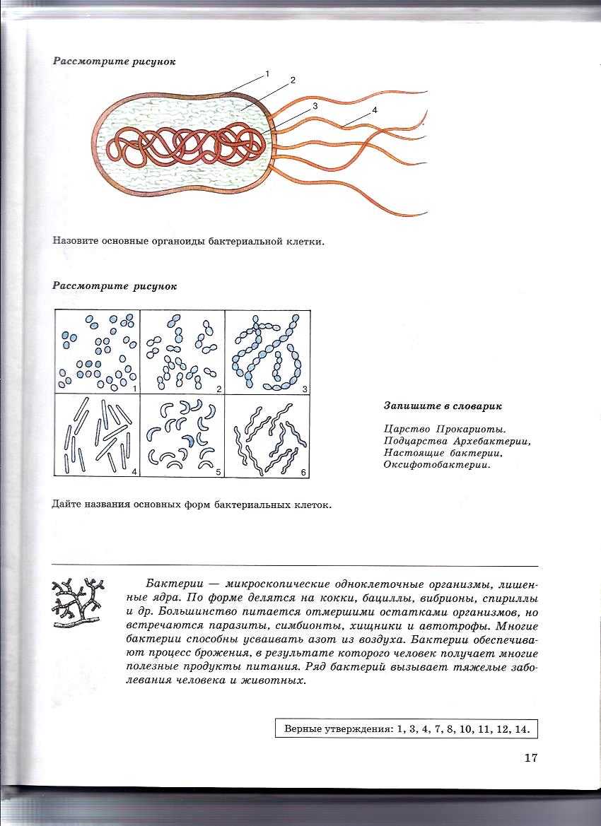 Маршрутный лист учащегося. Приложение к методической разработке урока.