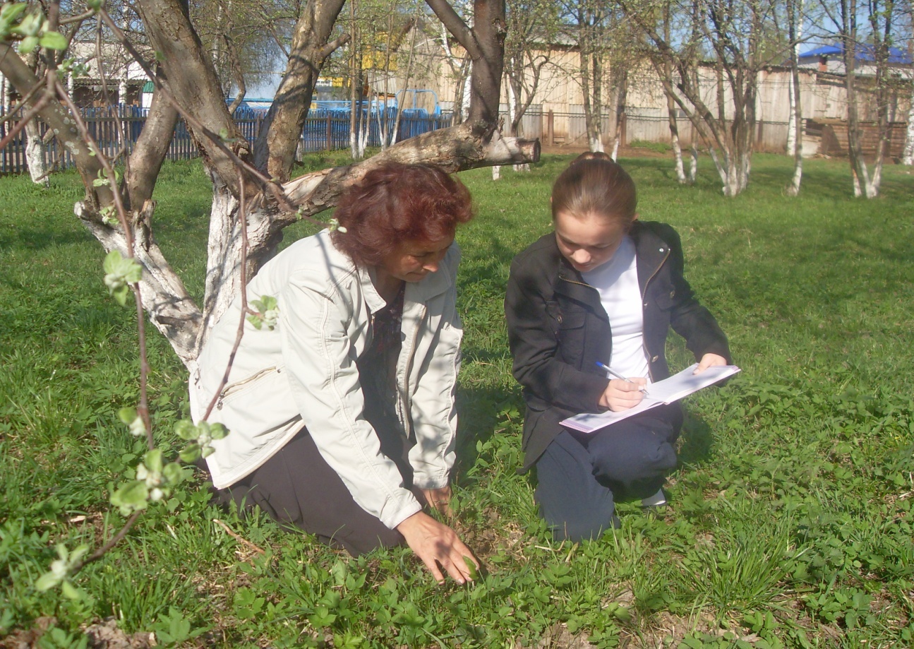 Исследовательская работа «Раннецветущие растения окресности села Верхние Татышлы»