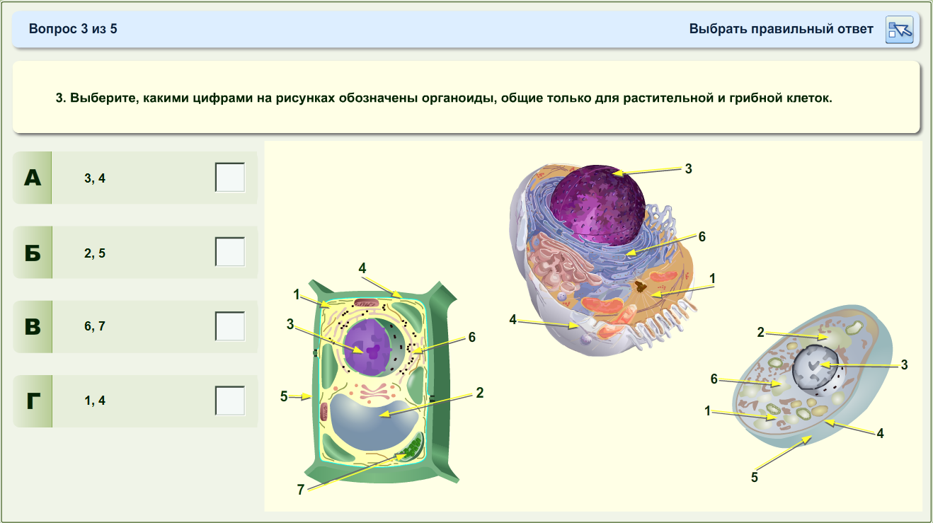 Технологическая карта урока по ФГОС Строение клеток животных и грибов. Вирусы. 5 класс