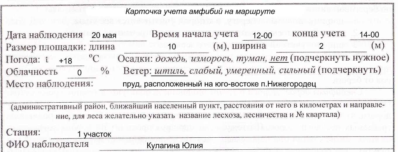 Исследовательская работа Видовое разнообразие амфибий Нижегородской области