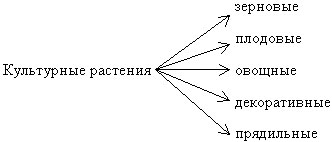 Тема: Дикорастущие и культурные растения