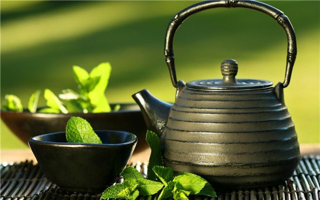 Проект-урок по естествознанию «Влияние чая на организм человека»