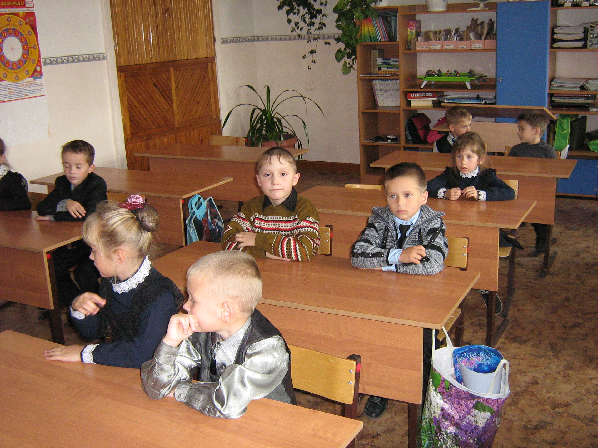«Внеурочная деятельность в начальной школе» (распространение опыта работы)