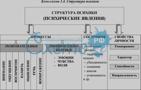 Методическая разработка. Активный семинар по теме Свойства личности (2 курс, специальность Дошкольное образование)