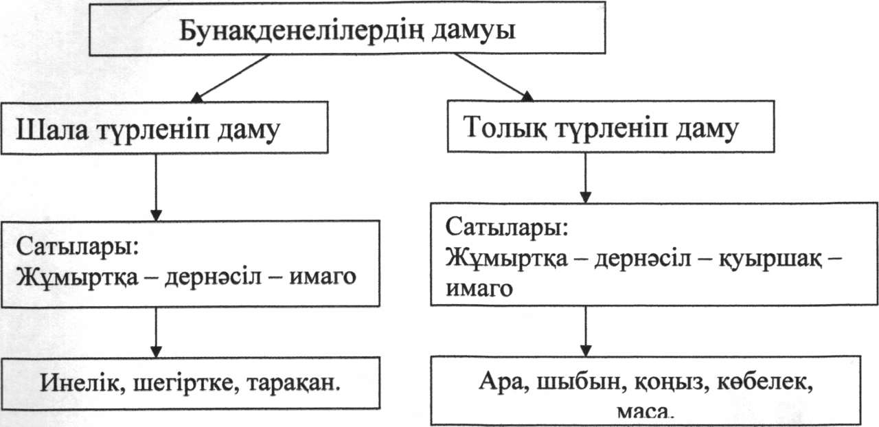 Ағзалардың жеке дамуы түсінігі 7 сынып презентация