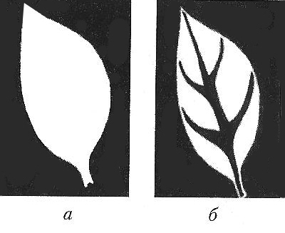 Конспект урока по предмету изоборазительное искусство на тему Стилизация растений 3-5 класс