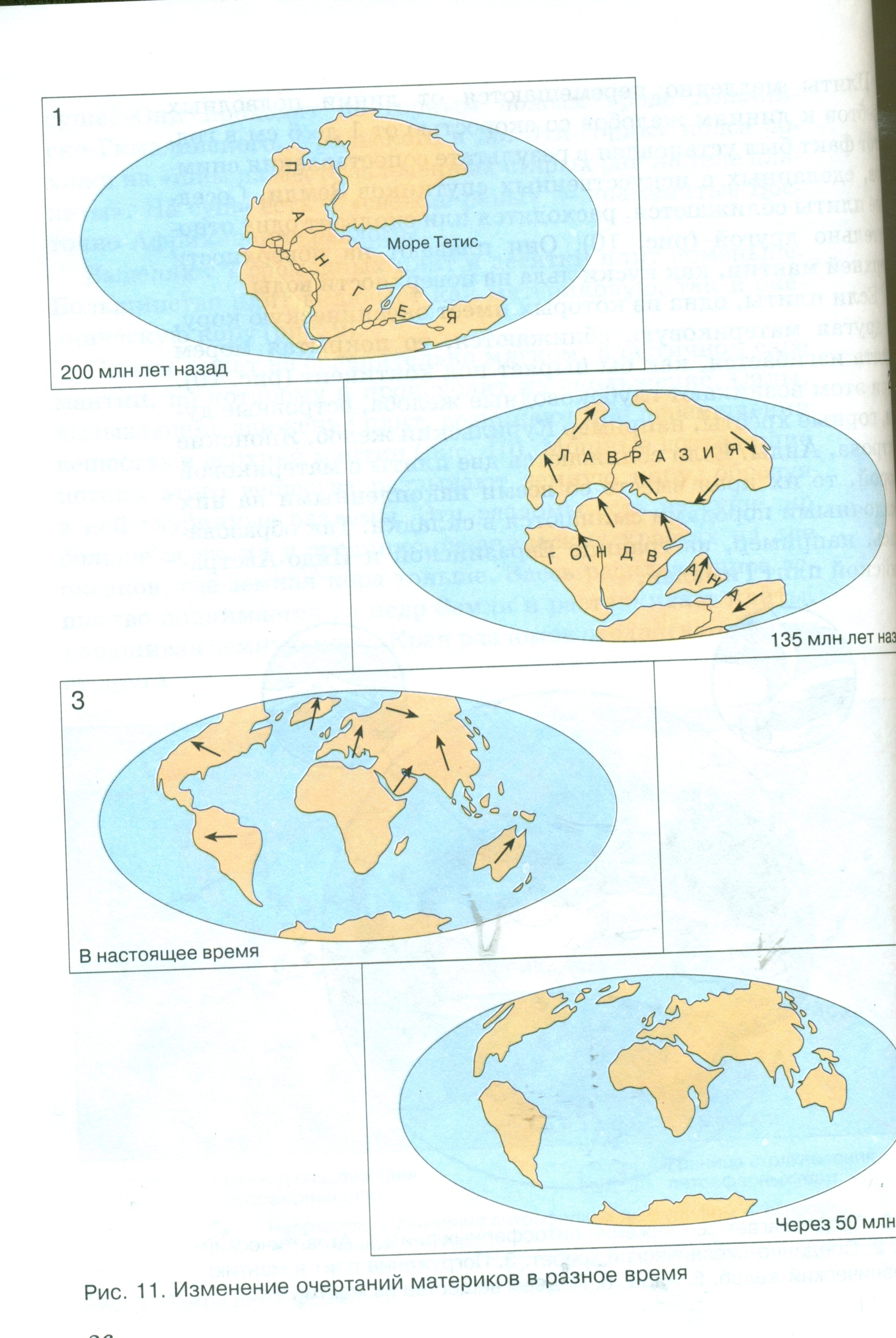 Интегрированный урок географии и биологии Материки