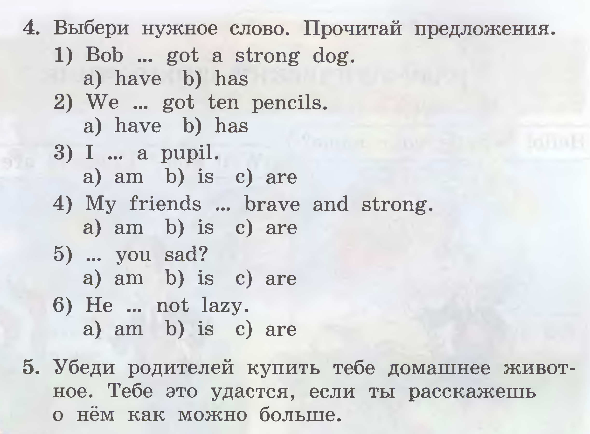 Рабочая программа 2 класс английский язык ФГОС