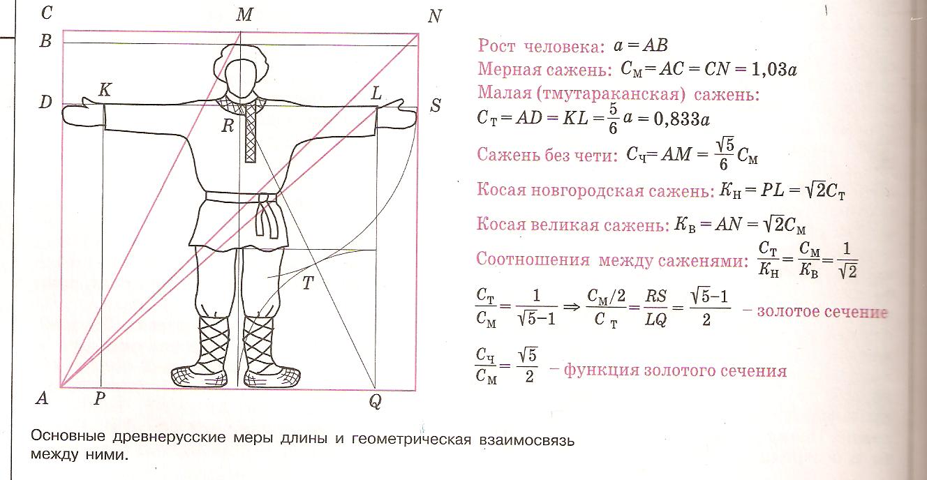 Золотое сечение в одежде примеры