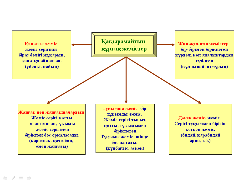 Поурочный план по биологии (6 класс)