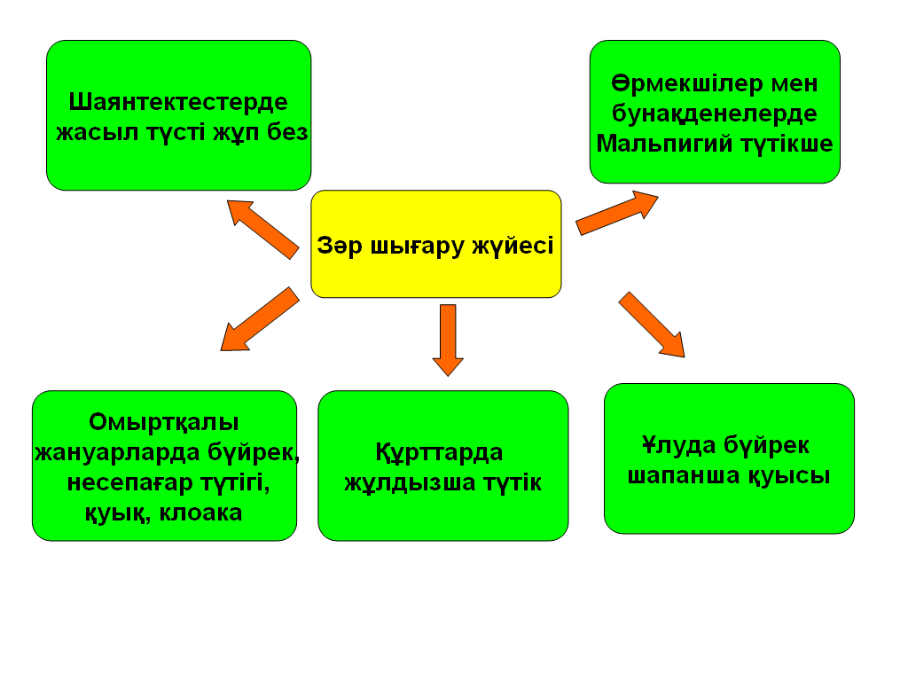 Поурочный план по биологии (6 класс)